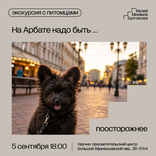 Фестиваль "Москва Булгакова": экскурсия с питомцами «На Арбате надо быть … поосторожнее»