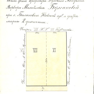 План участка леса под NN VI—VII, проданного В.И. Красовским В.М. Булгаковой при с. Балановке Киевской губернии и уезда мерою 2 десятины. 1 сентября 1901 года.