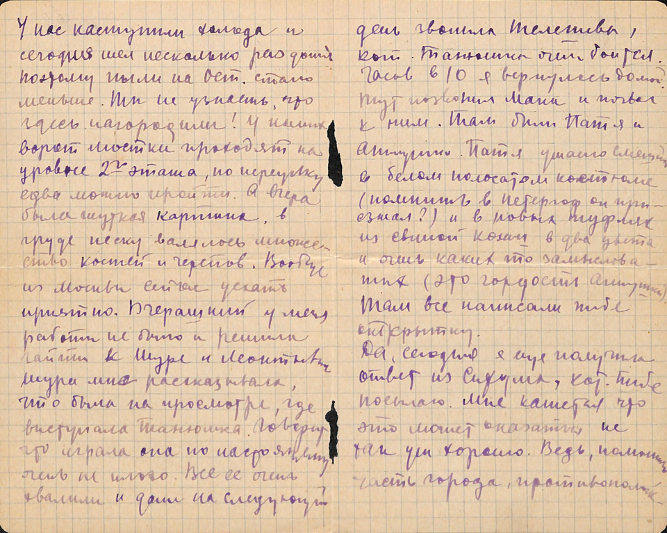 Письмо. Адресат — Лямин Николай Николаевич (с упоминанием Булгакова Михаила Афанасьевича, Попова Павла Сергеевича и Толстой Анны Ильиничны). 24 мая 1934 г. Ушакова Н.А.