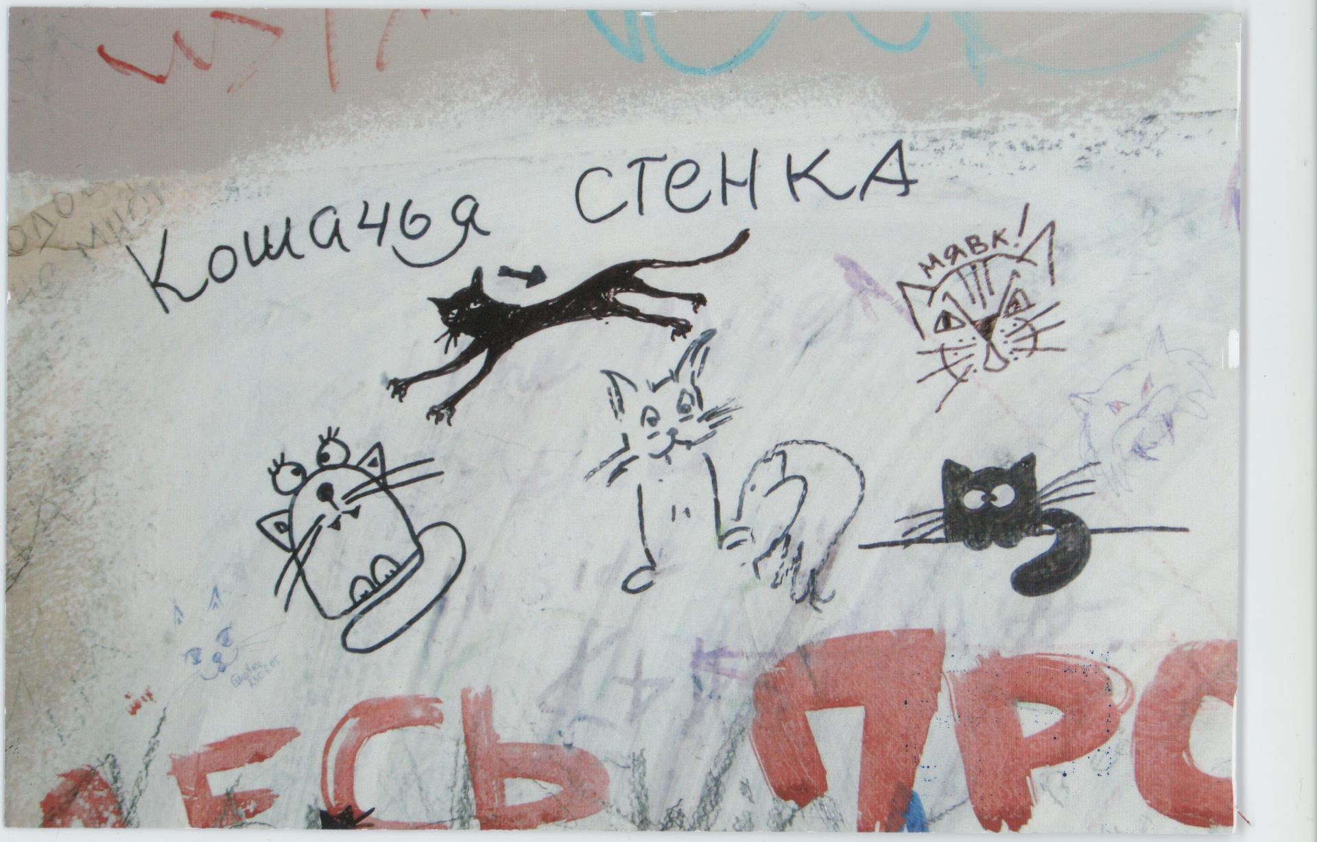 Фотография. Стена лестницы подъезда № 6 дома № 10 на Большой Садовой улице. 2005-2007 гг.